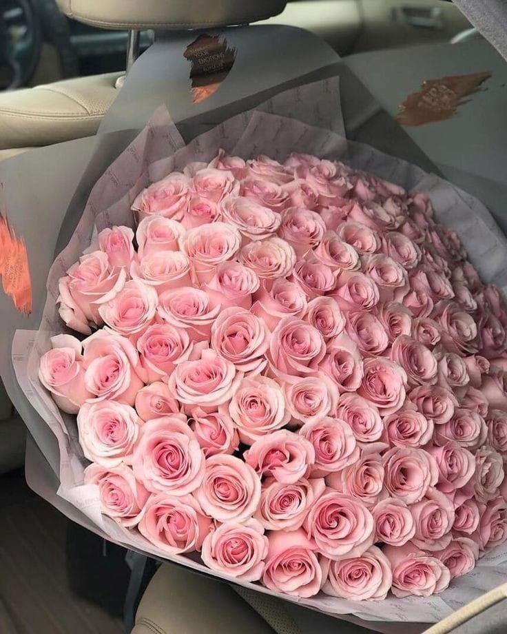 Harmony in Petal Symphony